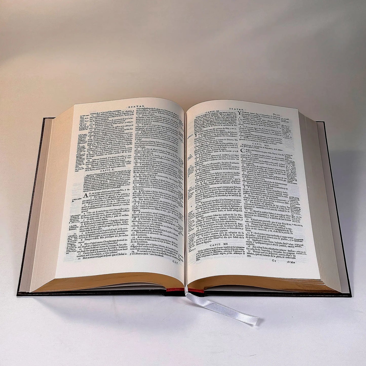 Imagen 2 · La Biblia del Cántaro