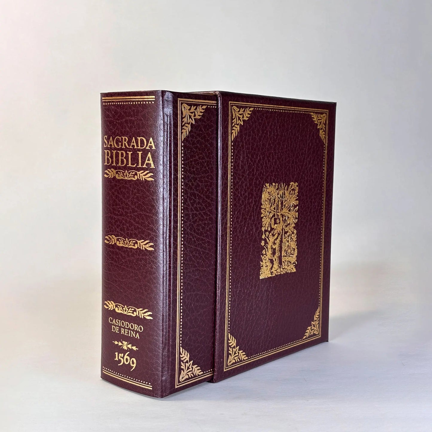 Imagen 1 · La Biblia del Oso