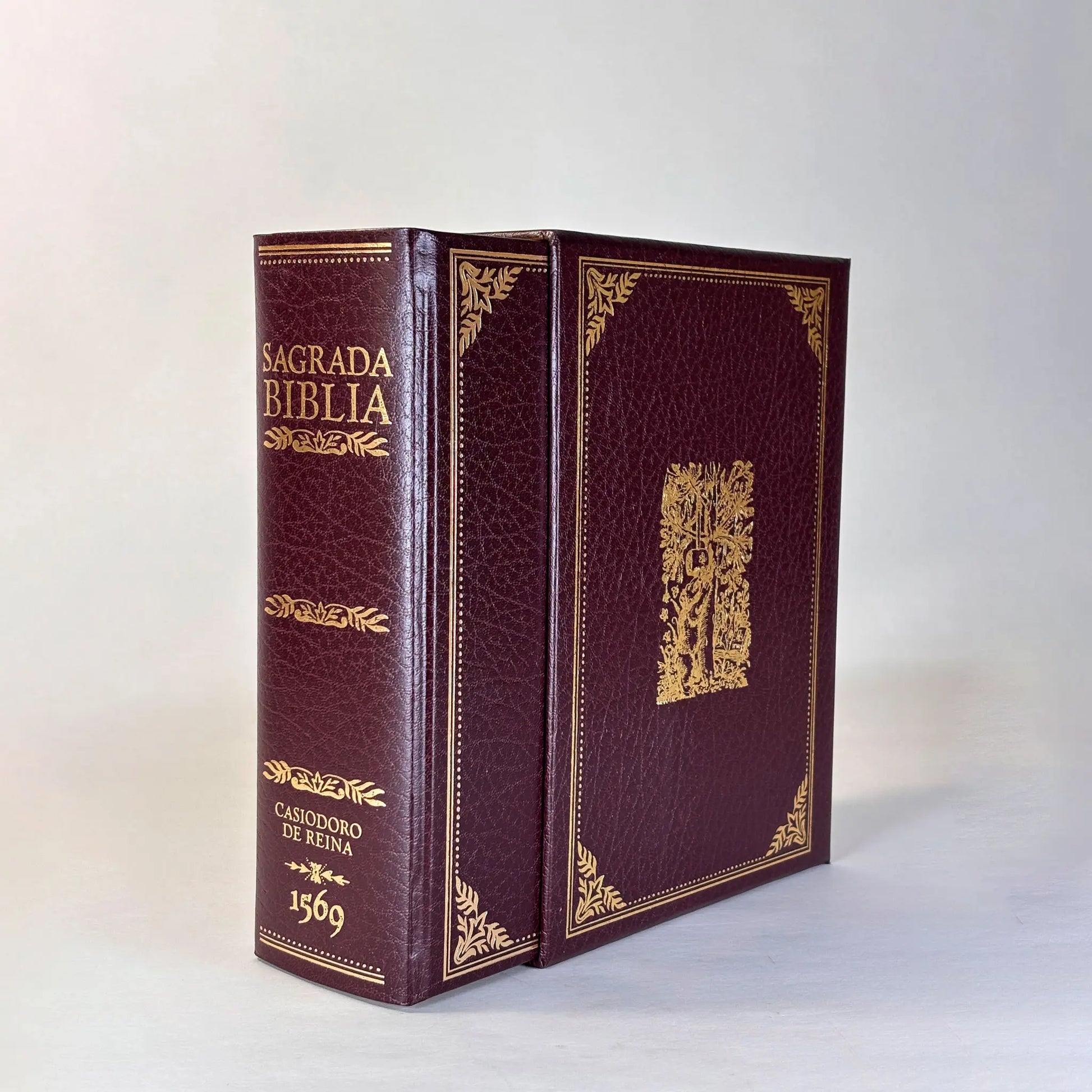 Imagen 1 · La Biblia del Oso