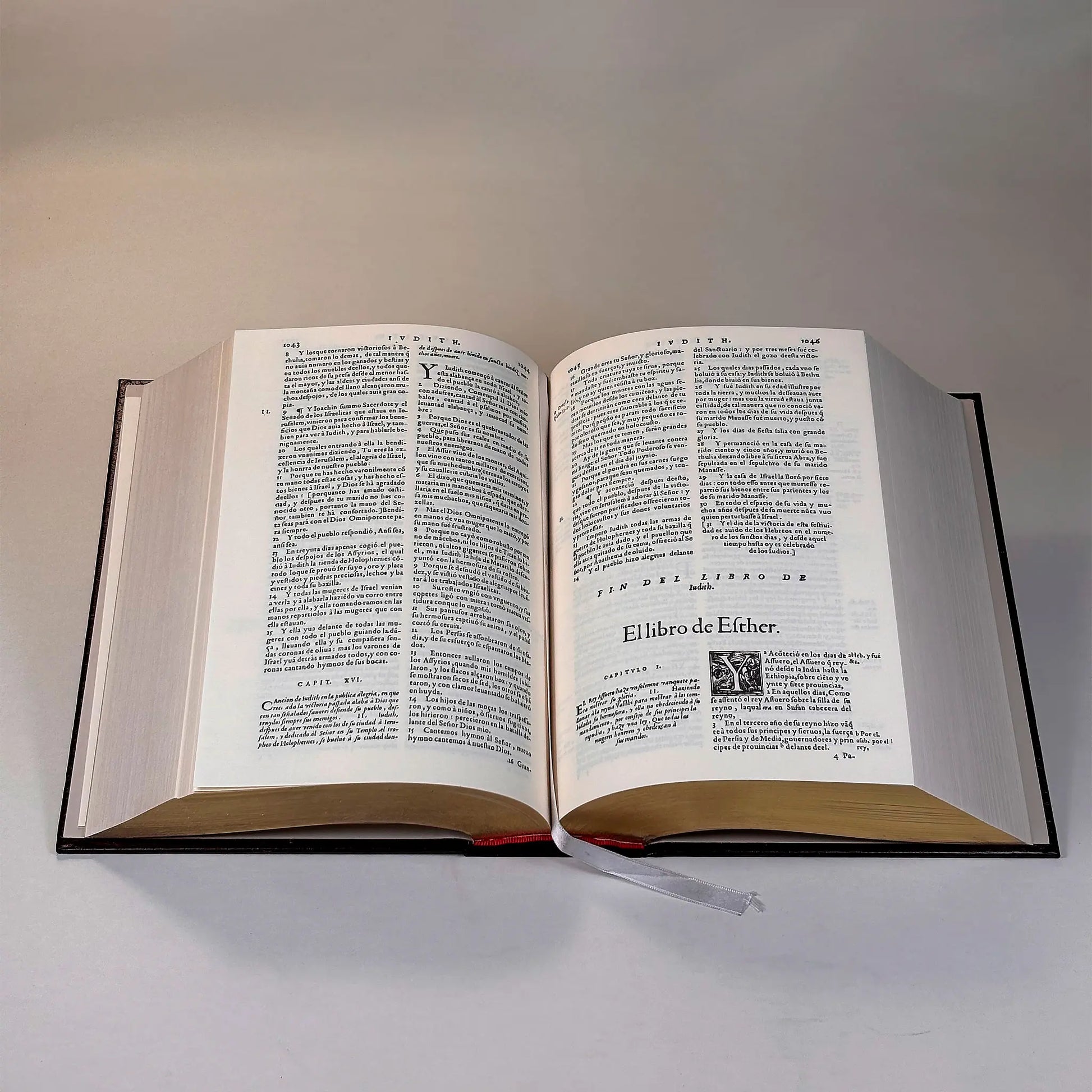 Imagen 2 · La Biblia del Oso